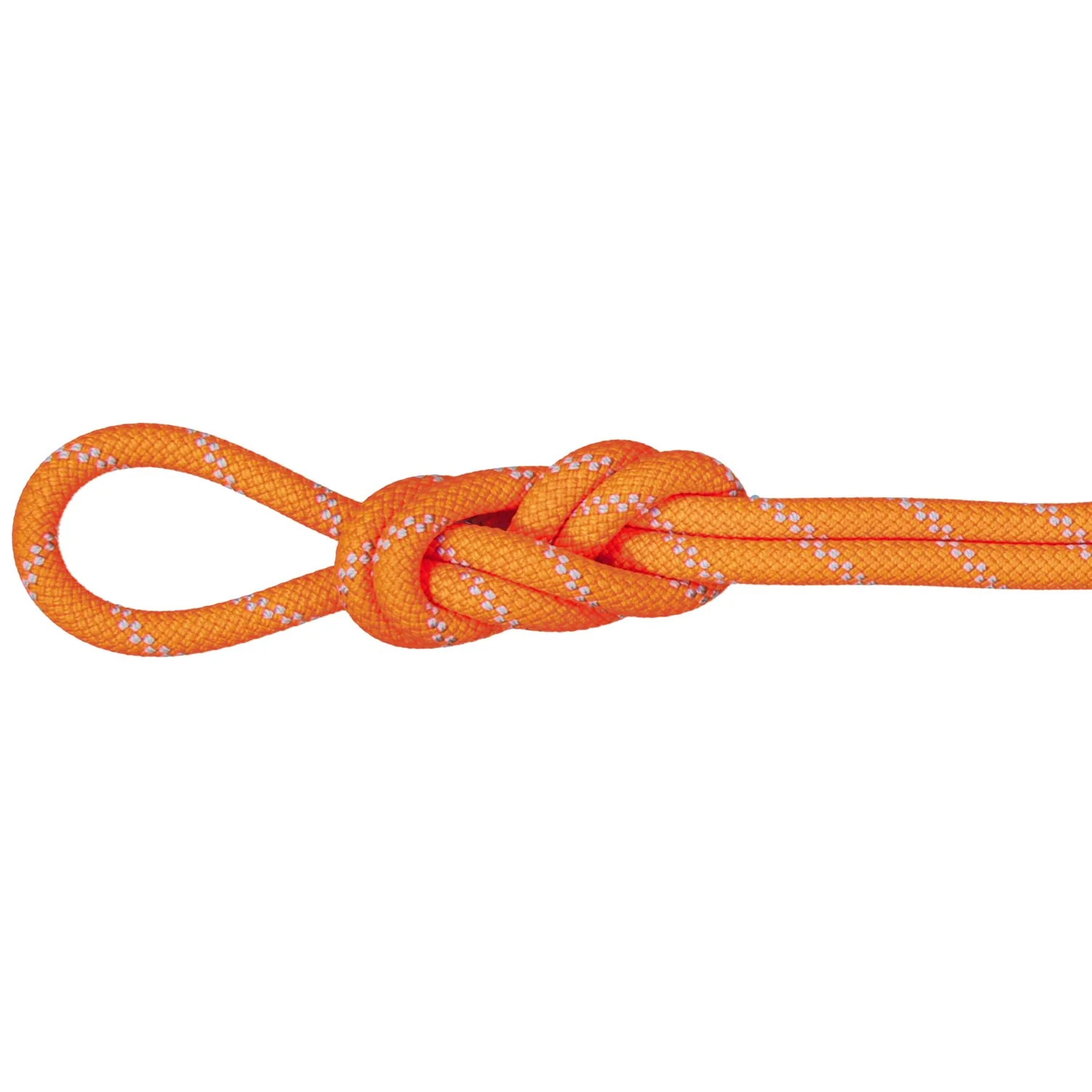 Mammut 9.5 Alpine Dry Climbing Rope (Closeout) - Image 2