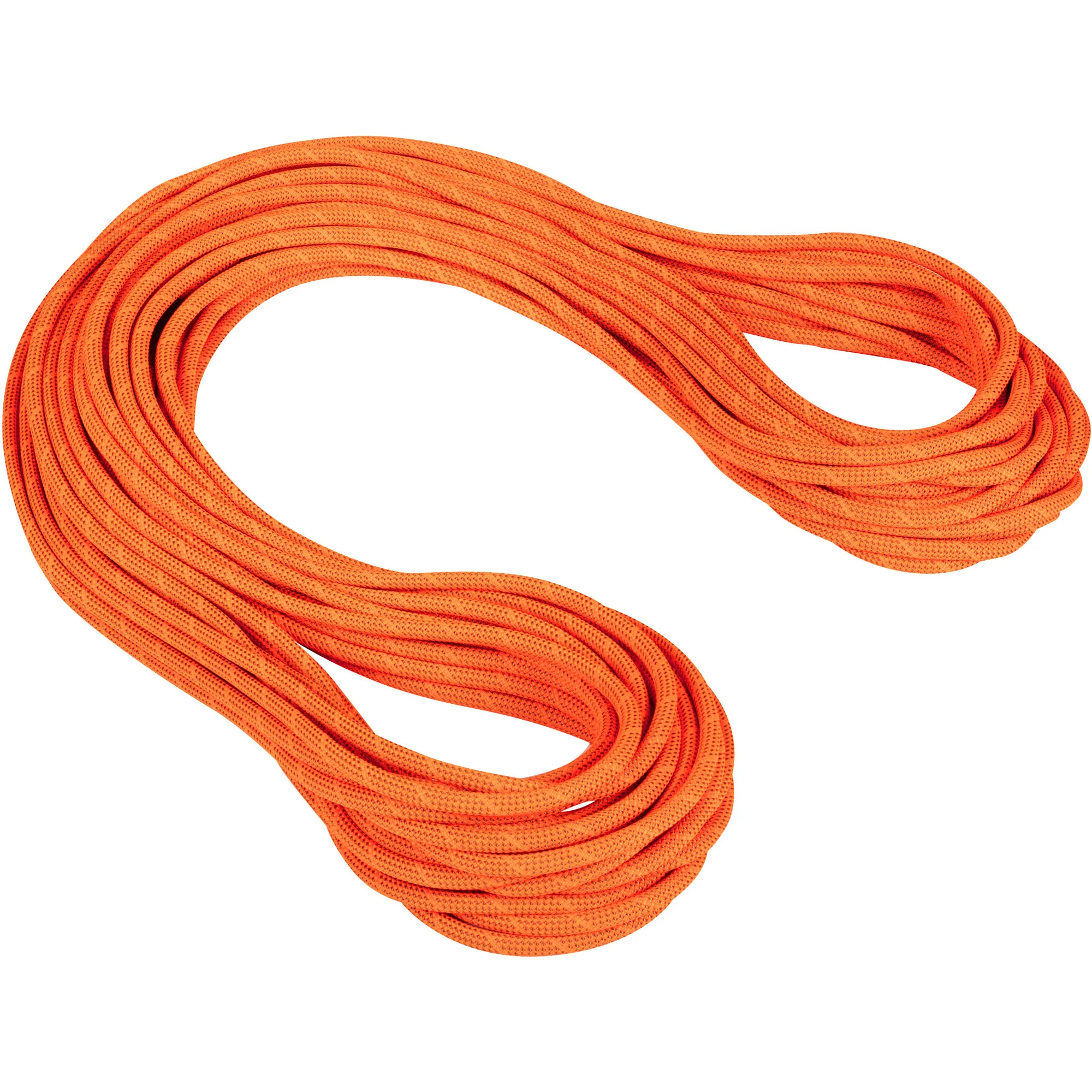 Mammut 9.8 Crag Dry Climbing Rope (Closeout)