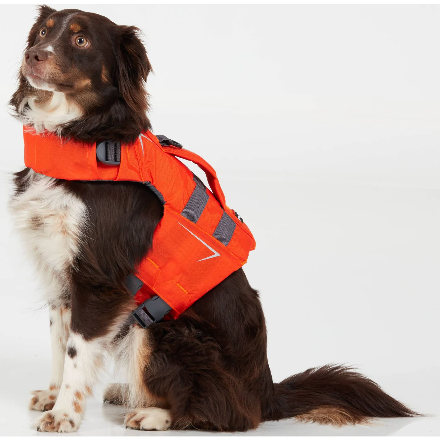 NRS CFD Dog Life Jacket - Image 14