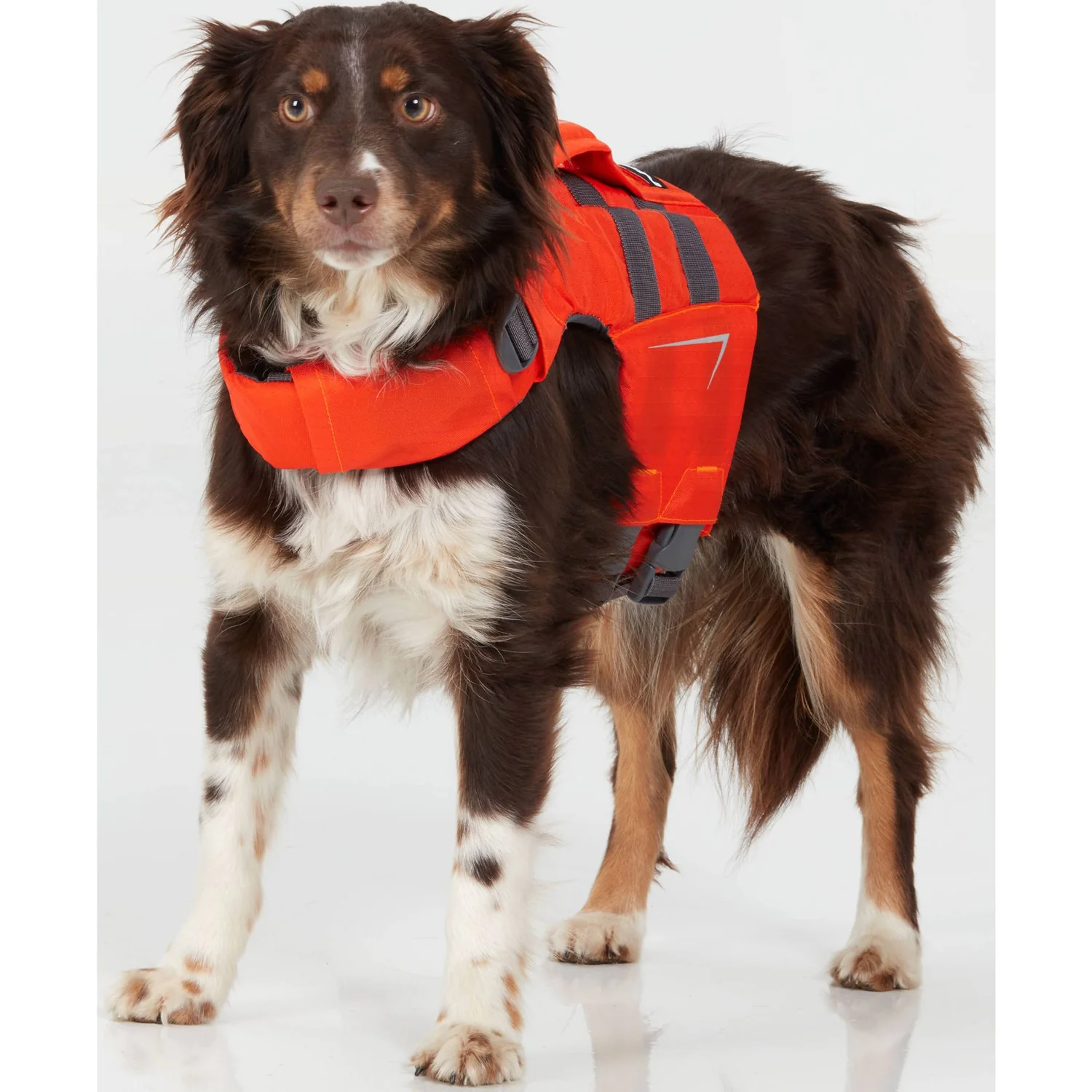 NRS CFD Dog Life Jacket - Image 15